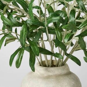 Olive Leaf Potted Arrangement by Threshold Designed by Studio McGee NEW (L3)